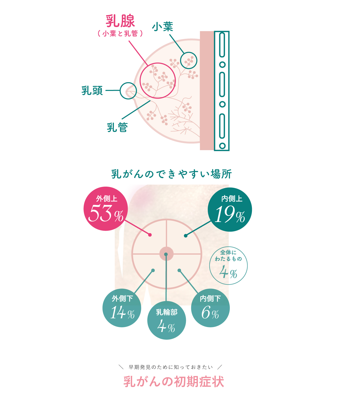 ふくらみかけの乳房 洗うついでにセルフチェック！胸のセルフチェックサポートセット