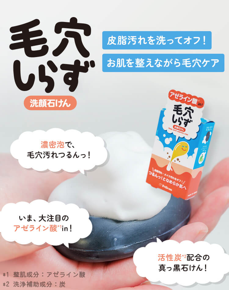 ご希望の際1200円に変更：ペリカン石鹸ポリッシュポリッシュ300ml：泥泡 ご希望の際1200円に変更：ペリカン石鹸ポリッシュポリッシュ